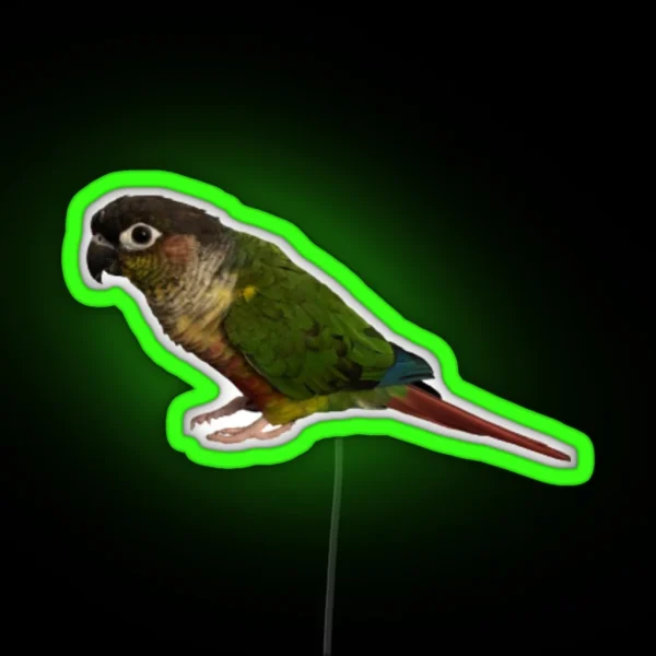 Green Cheek Conure Design Conure Small Parrot Parakeet RGB Neon Sign