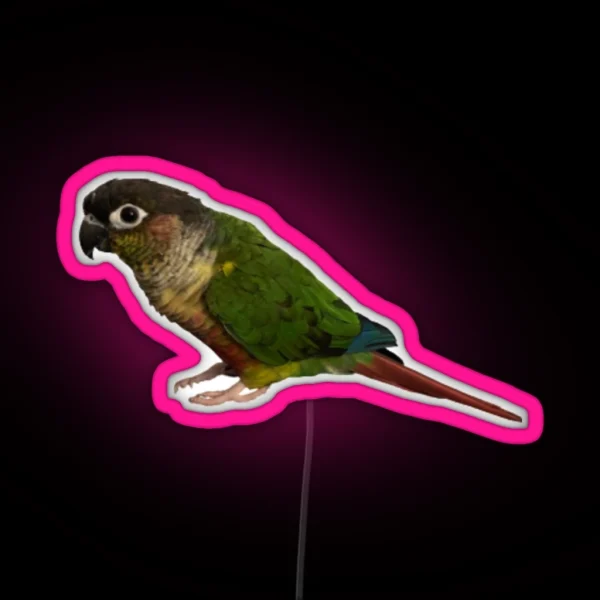 Green Cheek Conure Design Conure Small Parrot Parakeet RGB Neon Sign