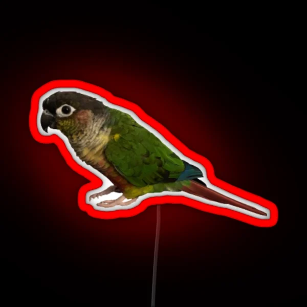Green Cheek Conure Design Conure Small Parrot Parakeet RGB Neon Sign