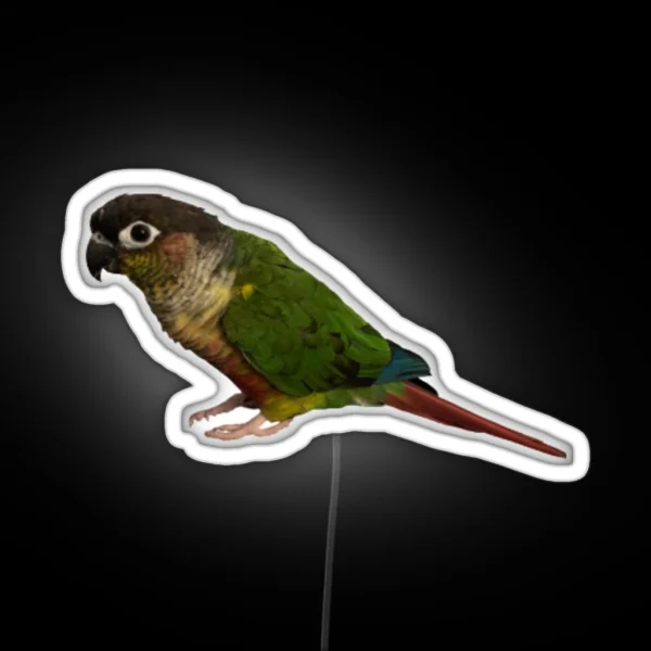 Green Cheek Conure Design Conure Small Parrot Parakeet RGB Neon Sign