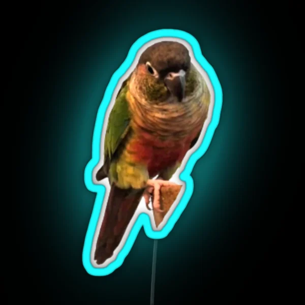 Green Cheek Conure Design Conure Small Parrot Parakeet RGB Neon Sign