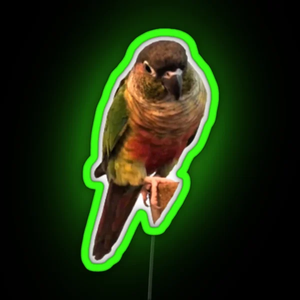 Green Cheek Conure Design Conure Small Parrot Parakeet RGB Neon Sign