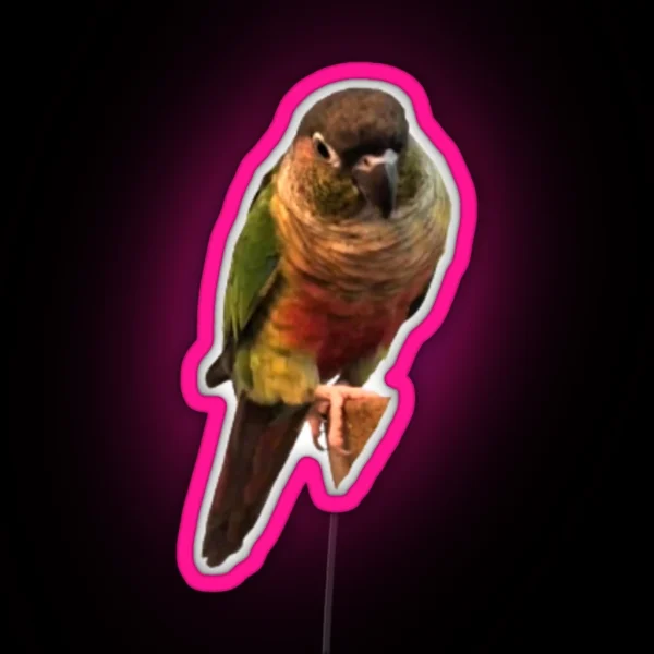 Green Cheek Conure Design Conure Small Parrot Parakeet RGB Neon Sign