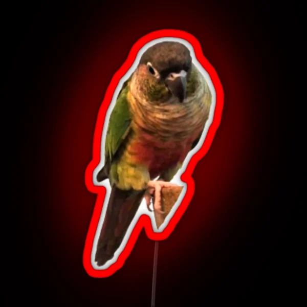Green Cheek Conure Design Conure Small Parrot Parakeet RGB Neon Sign