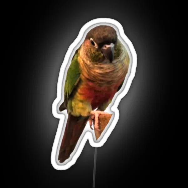 Green Cheek Conure Design Conure Small Parrot Parakeet RGB Neon Sign