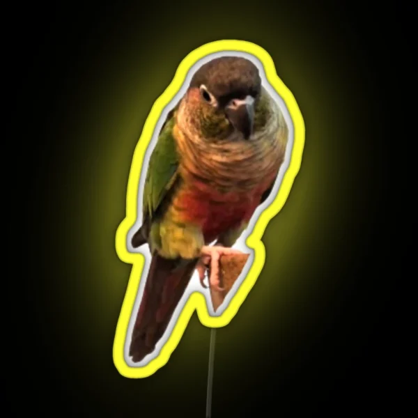 Green Cheek Conure Design Conure Small Parrot Parakeet RGB Neon Sign