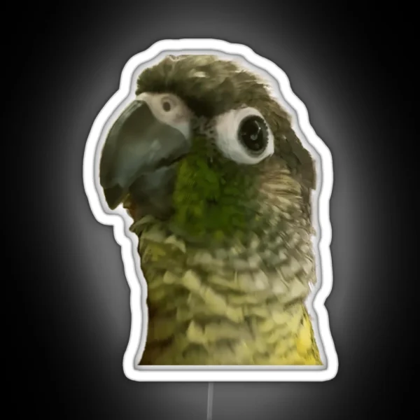Green Cheek Conure RGB Neon Sign