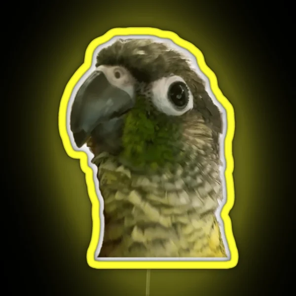 Green Cheek Conure RGB Neon Sign