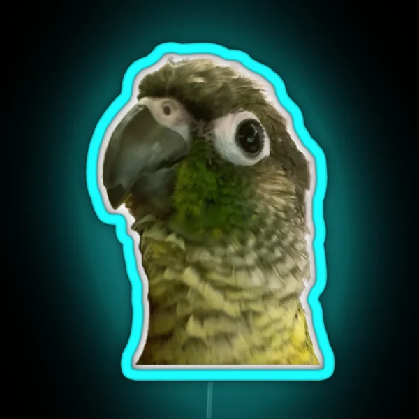Green Cheek Conure RGB Neon Sign