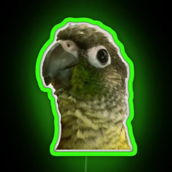 Green Cheek Conure RGB Neon Sign