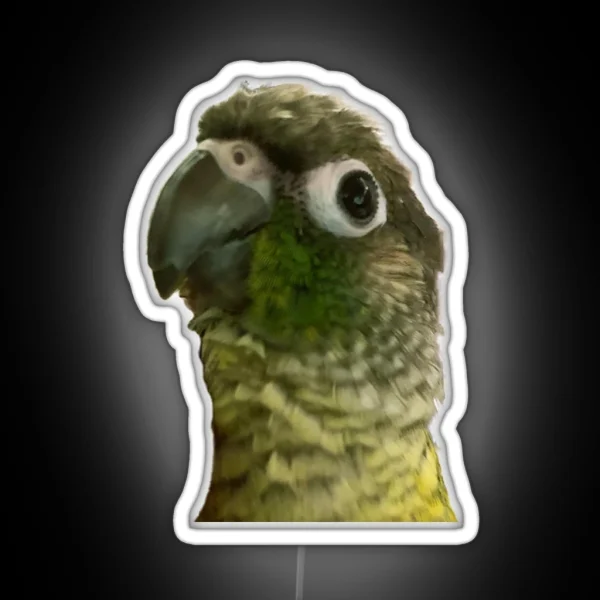 Green Cheek Conure RGB Neon Sign