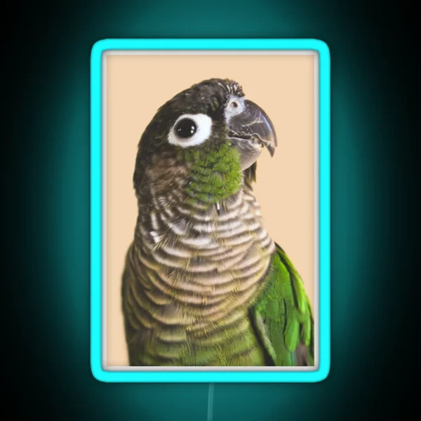Green Cheek Conure RGB Neon Sign