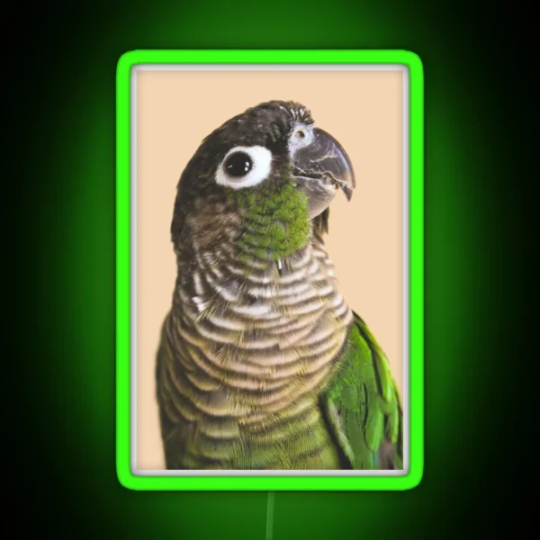 Green Cheek Conure RGB Neon Sign