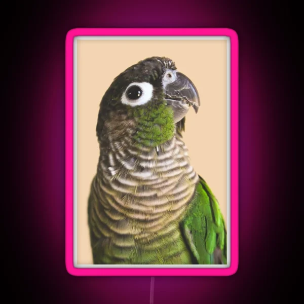 Green Cheek Conure RGB Neon Sign