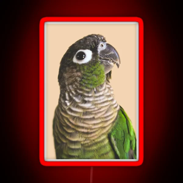 Green Cheek Conure RGB Neon Sign