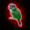 Vibrant Green Cheek Conure RGB Neon Sign for Avian Enthusiasts