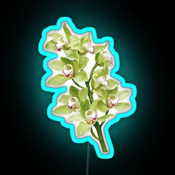 Green Cymbidium Orchid Flower Floral RGB Neon Sign