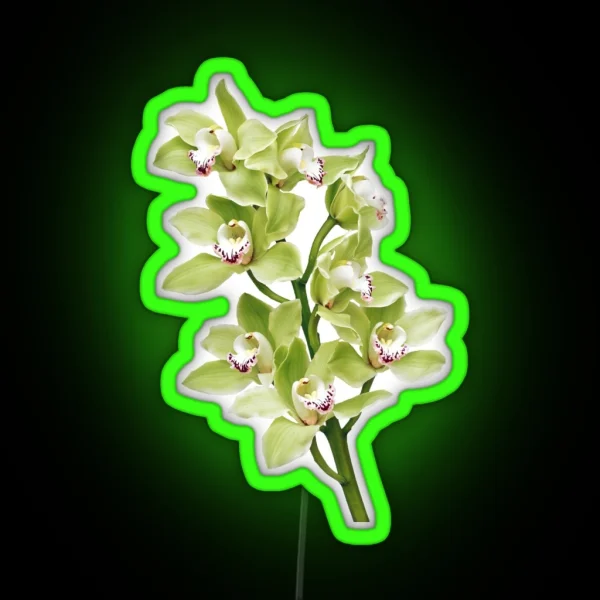 Green Cymbidium Orchid Flower Floral RGB Neon Sign