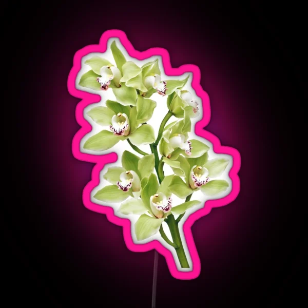 Green Cymbidium Orchid Flower Floral RGB Neon Sign