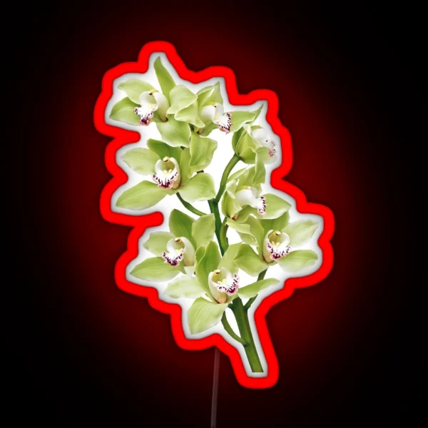 Green Cymbidium Orchid Flower Floral RGB Neon Sign