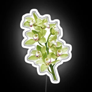 Green Cymbidium Orchid Flower Floral RGB Neon Sign