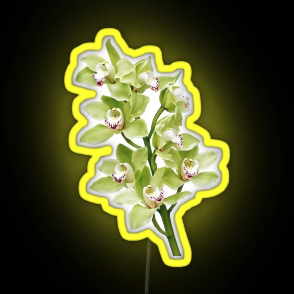 Green Cymbidium Orchid Flower Floral RGB Neon Sign
