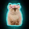Whimsical Grumpy Cat Neon Sign with Color-Changing RGB Lighting Features.