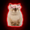 Whimsical feline humor meets neon charm in this grumpy cat sign.