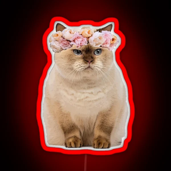 Grumpy Flower Cat RGB Neon Sign