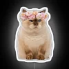 Grumpy Feline Purrfectly Glows with Color-Changing Neon Accents Available.