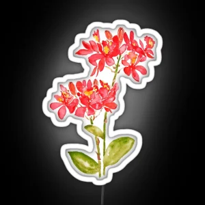 Hand Painted Epidendrum Radicans Orange Ground Orchid Watercolor RGB Neon Sign