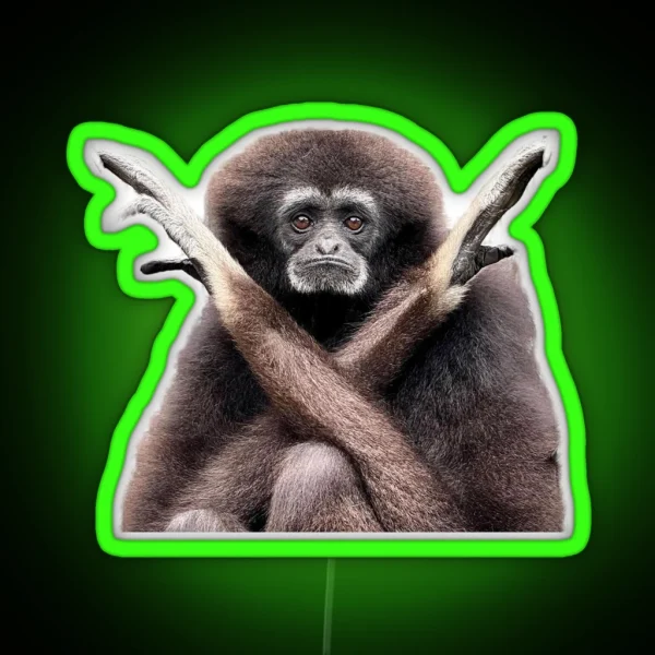 Hanging Mia Cutout RGB Neon Sign