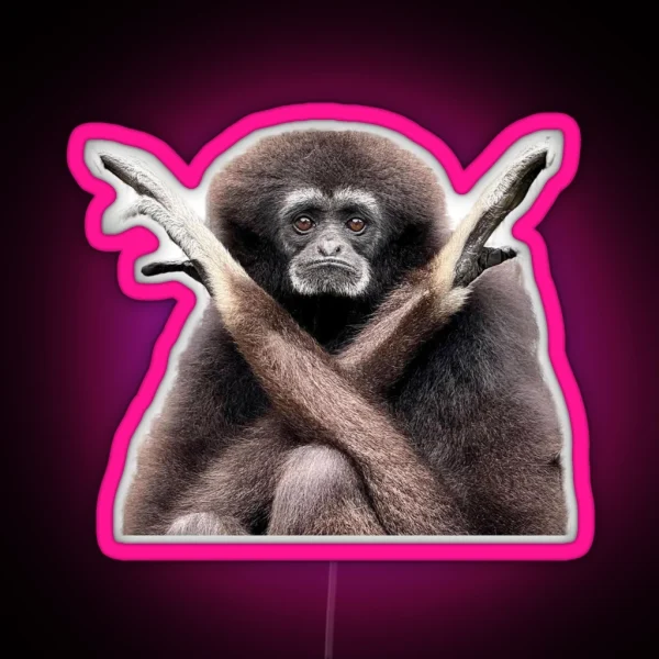 Hanging Mia Cutout RGB Neon Sign