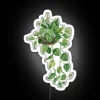 RGB Neon Sign Hanging Plant Decor with Adjustable Color Modes