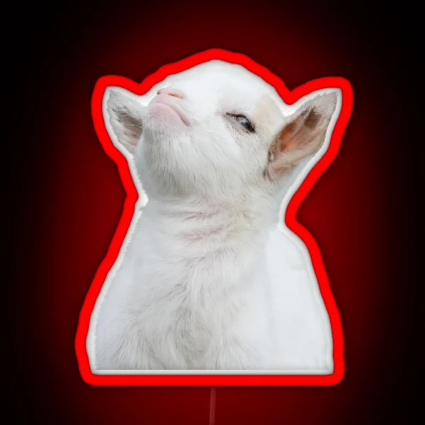 Head Of Cute White Baby Goat RGB Neon Sign