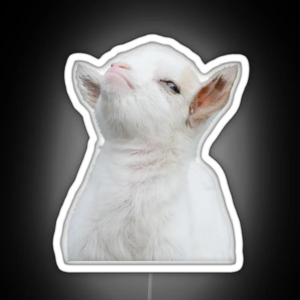 Head Of Cute White Baby Goat RGB Neon Sign