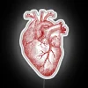 Customizable heart shaped rgb led neon sign for wall decoration.