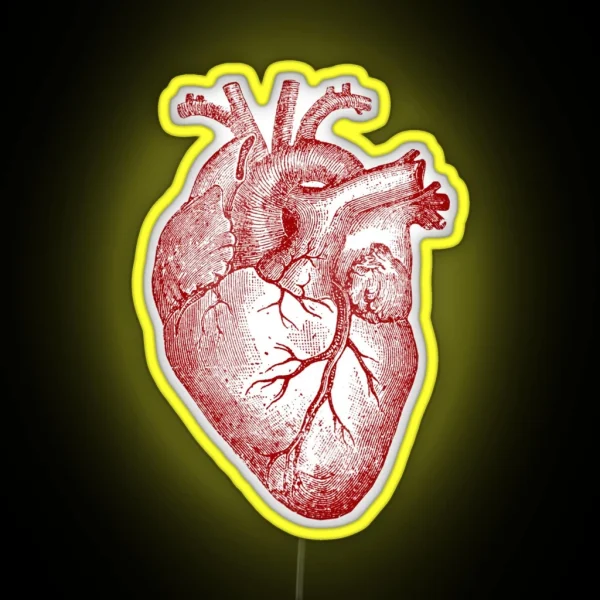 Heart RGB Neon Sign