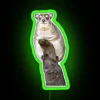 Hi Rocks Neon Sign with Color Changing RGB Lighting