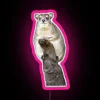 Vibrant RGB color changing LED canvas art wall decoration signage
