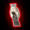 RGB Color-Changing 'Hi Rocks' Neon Sign with Personalized Wall Decoration.