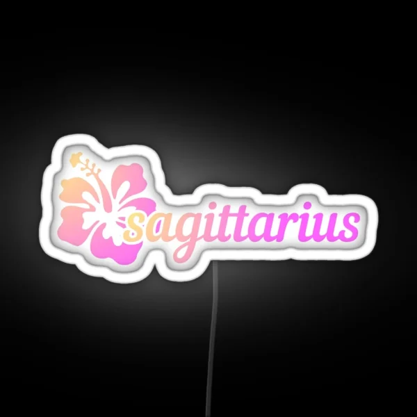 Hibiscus Sagittarius Coconut Girl RGB Neon Sign