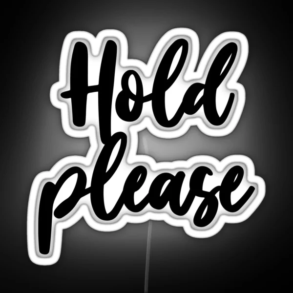 HOLD PLEASE RGB Neon Sign
