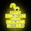 Eye-catching RGB LED Neon Sign with Color Changing Hook Display
