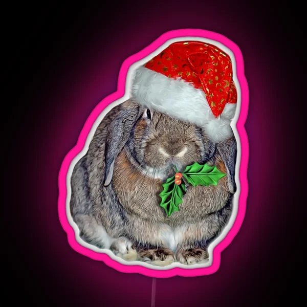 HOPPY CHRISTMAS RGB Neon Sign