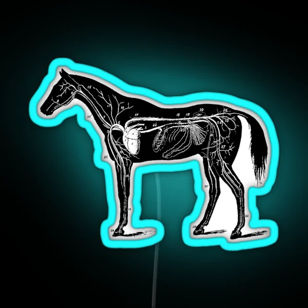 Horse Anatomy RGB Neon Sign