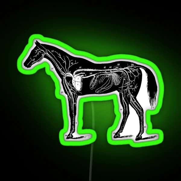 Horse Anatomy RGB Neon Sign