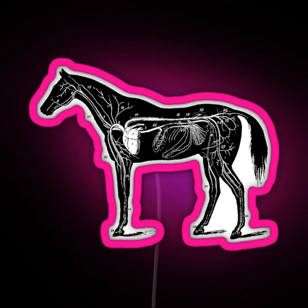 Horse Anatomy RGB Neon Sign