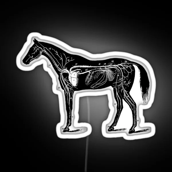 Horse Anatomy RGB Neon Sign