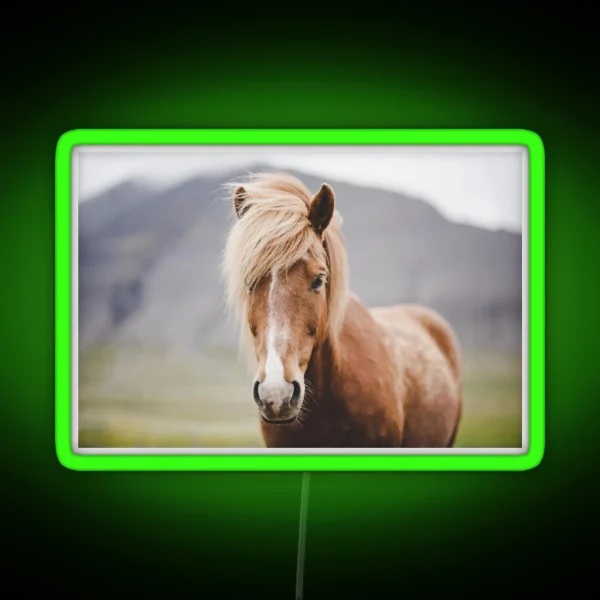 Horse Portrait RGB Neon Sign